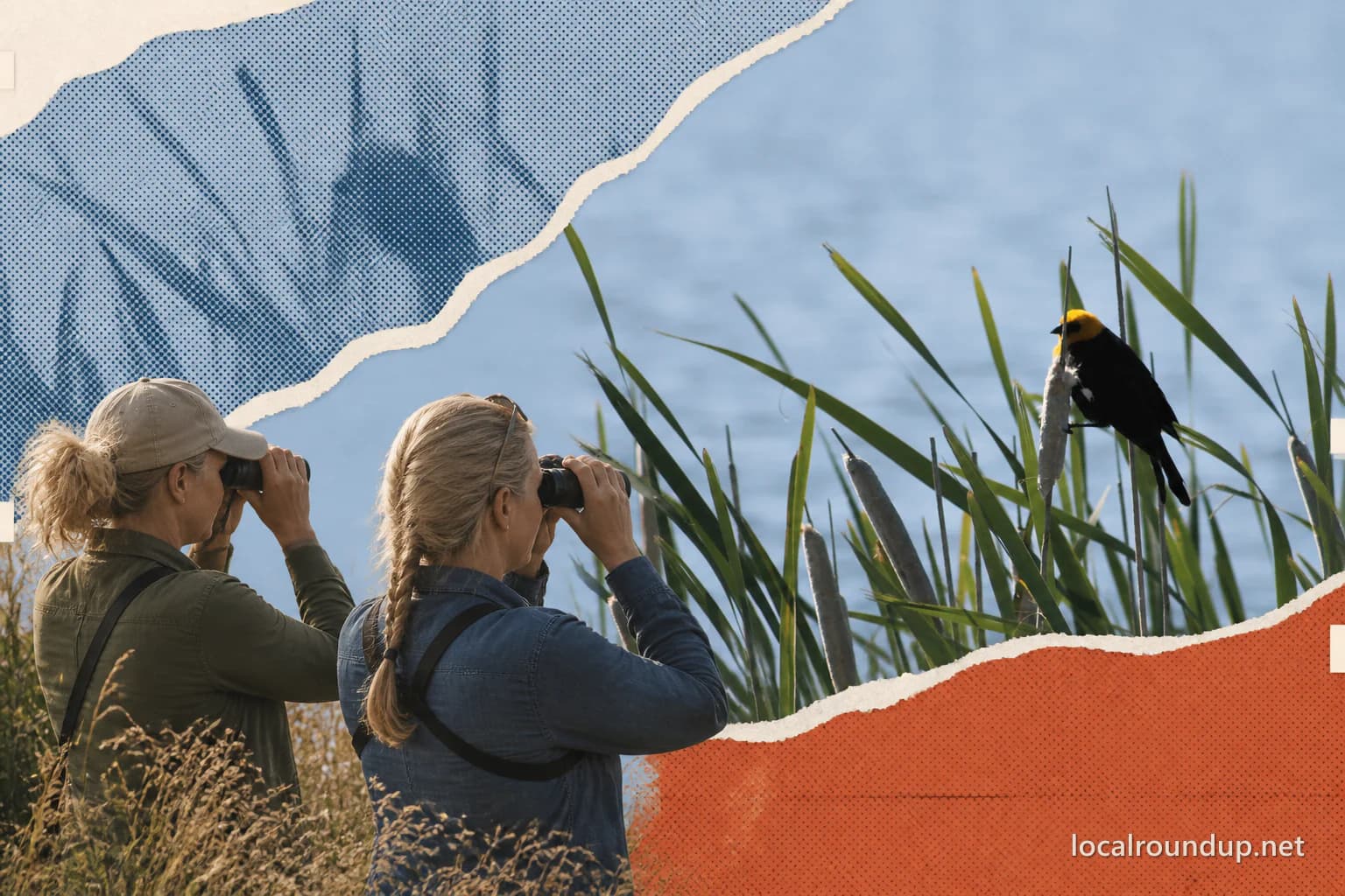 Two birders observing a yellow-headed blackbird at Camas National Wildlife Refuge