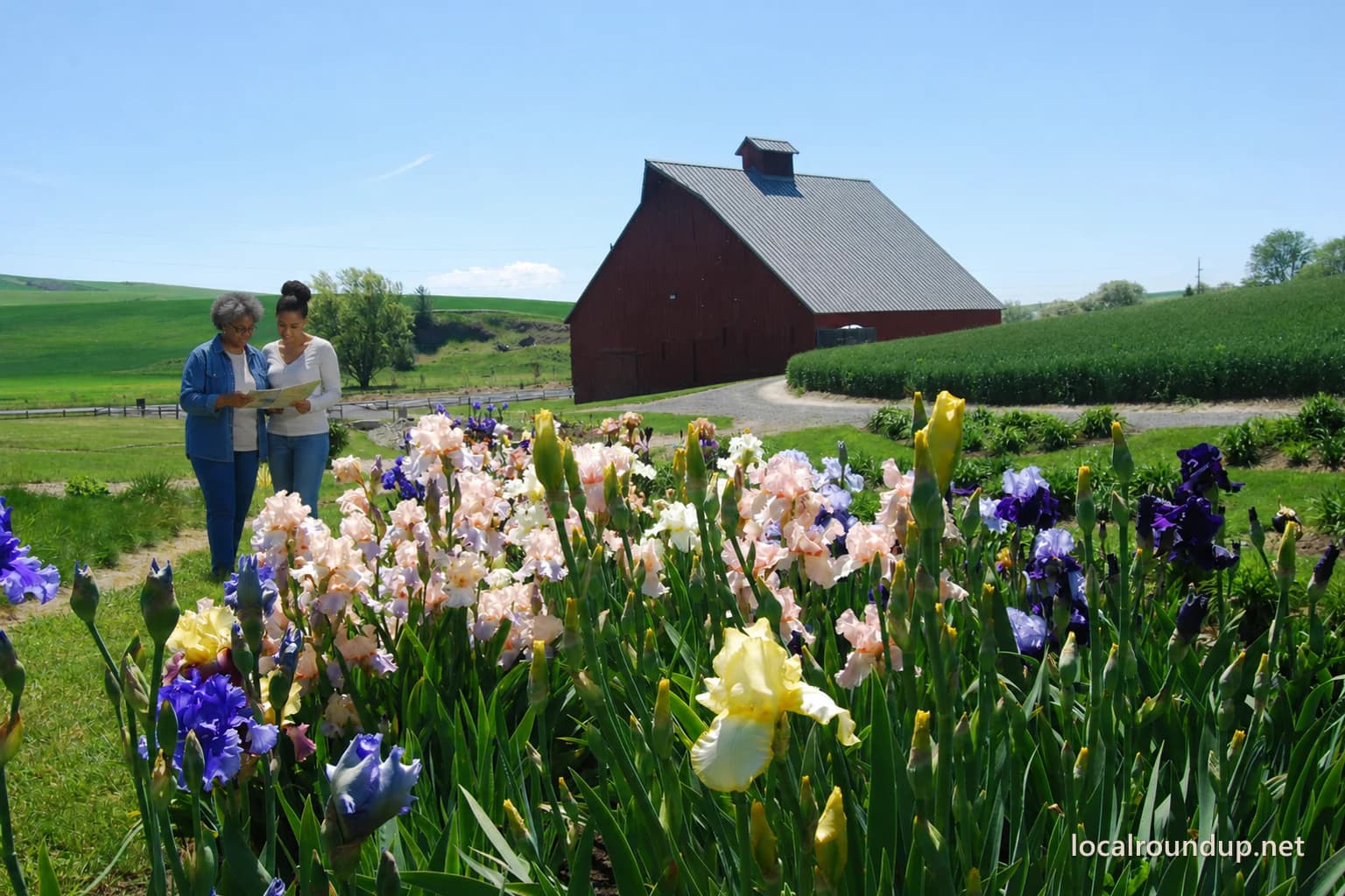 Two visitors consulting a garden map beside irises at the University of Idaho Arboretum